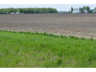 Property photo 11 - 77.4 Productive, Tillable Acres Land Auction